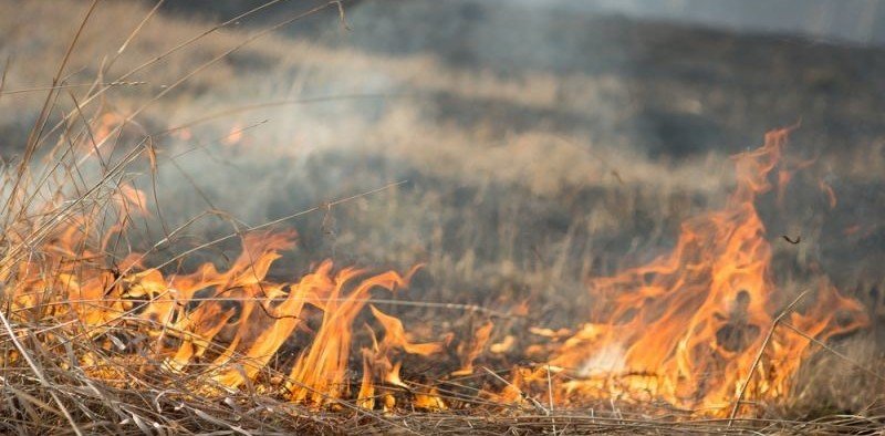 ЧЕЧНЯ. В нескольких районах ЧР сохраняется чрезвычайная пожароопасность