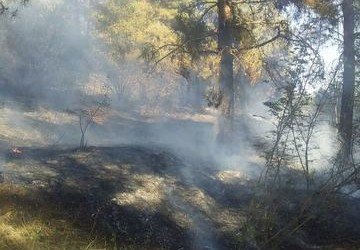 КАРАБАХ. Азербайджанские спасатели потушили лесной пожар в Геранбое, вспыхнувший из-за армянских артобстрелов