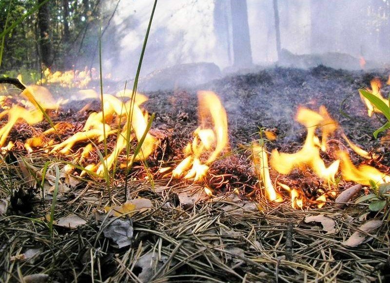 КРАСНОДАР. Экстренное предупреждение по чрезвычайной пожароопасности на территории Краснодарского края на 27-29 сентября