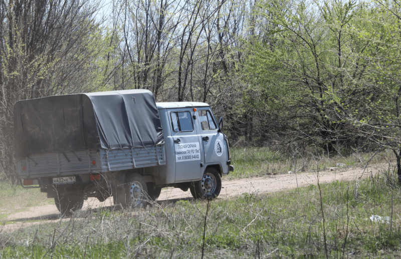 РОСТОВ. Усилен мониторинг пожарной опасности в лесах на территории Ростовской области