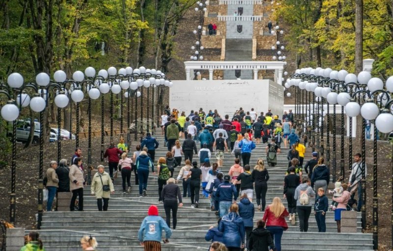 СТАВРОПОЛЬЕ. Экоотель на деревьях откроют в 2021 году на Ставрополье
