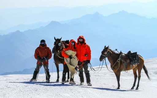 СТАВРОПОЛЬЕ. Кисловодские всадники на лошадях поднялись на западную вершину Эльбруса