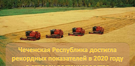 ЧЕЧНЯ.  Республика достигла рекордных показателей в 2020 году в отрасли растениеводства