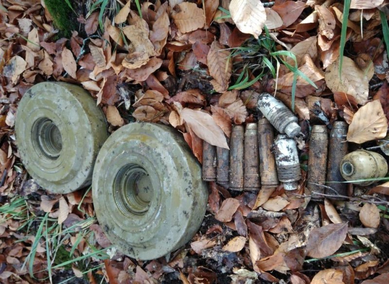 ЧЕЧНЯ. В лесном массиве Урус-Мартановского района обнаружили более 45 различных видов боеприпасов