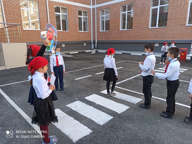 ЧЕЧНЯ. В школах Курчалоевского района Чеченской Республики провели мероприятия по профилактике ДТП
