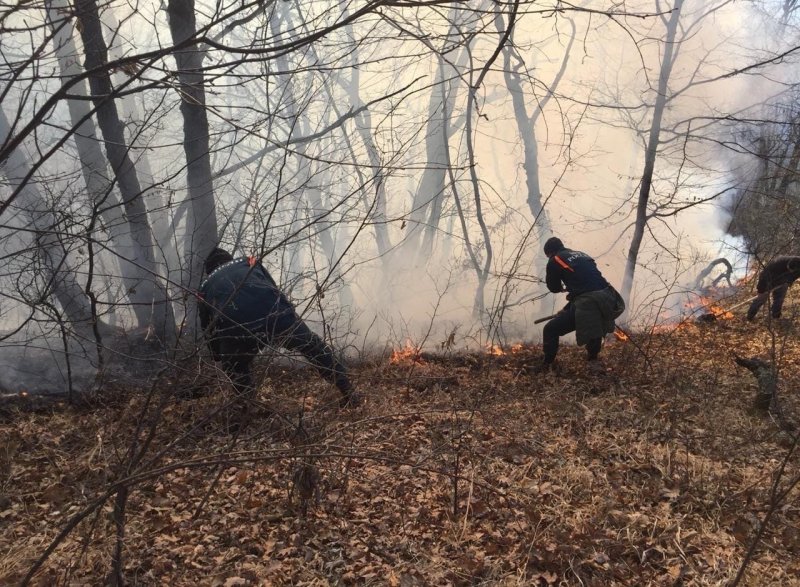 КЧР. Ликвидация возгорания лесной подстилки в Карачаевском районе 31.10.2020