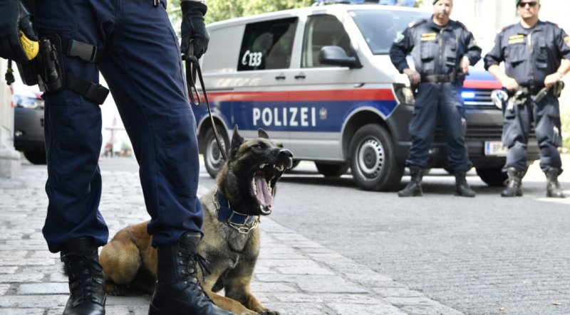ЧЕЧНЯ. Полиция задержала еще двух подозреваемых в теракте в Вене