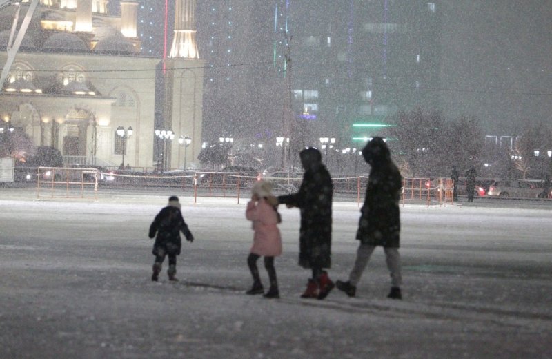 ЧЕЧНЯ. Численность населения Чеченской Республики увеличилась на 20,4 тыс. человек