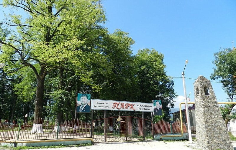 ЧЕЧНЯ. Кавказская липа в ЧР претендует на статус самых старых деревьев России
