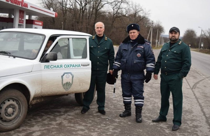 ЧЕЧНЯ. Минприроды ЧР проводит мероприятия по охране хвойных пород деревьев