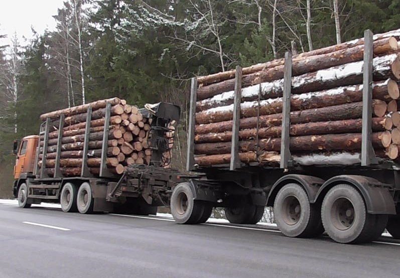 ИНГУШЕТИЯ. Поправки «Единой России» в Лесной кодекс сделают сферу оборота древесины более прозрачной