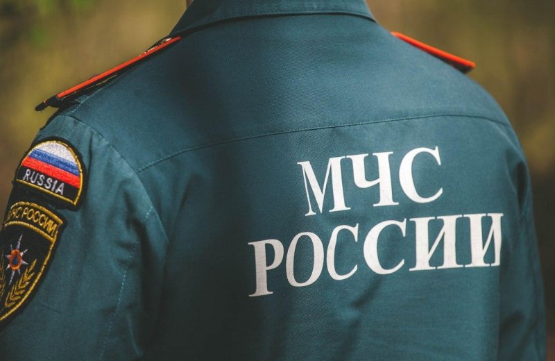 С. ОСЕТИЯ. Двое сотрудников МЧС из Северной Осетии получили госнаграду
