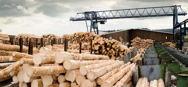 СТАВРОПОЛЬЕ. Власти Ставрополья ориентируются на глубокую переработку древесины