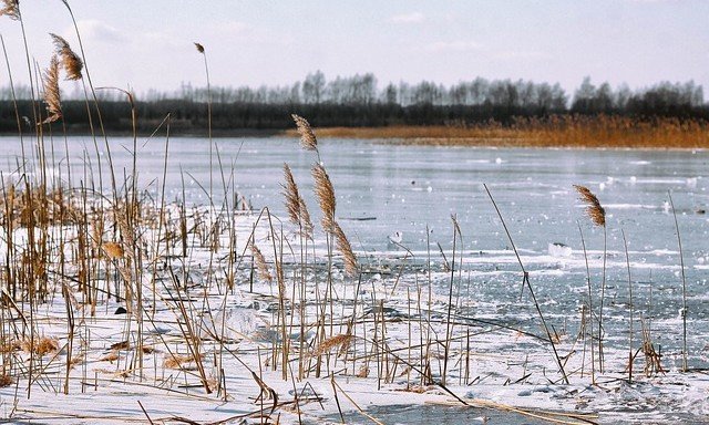 АСТРАХАНЬ. Малыш погиб в ледяной реке в Астраханской области