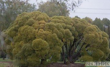 АЗЕРБАЙДЖАН. В Азербайджане открываются национальные парки (Эксклюзив)