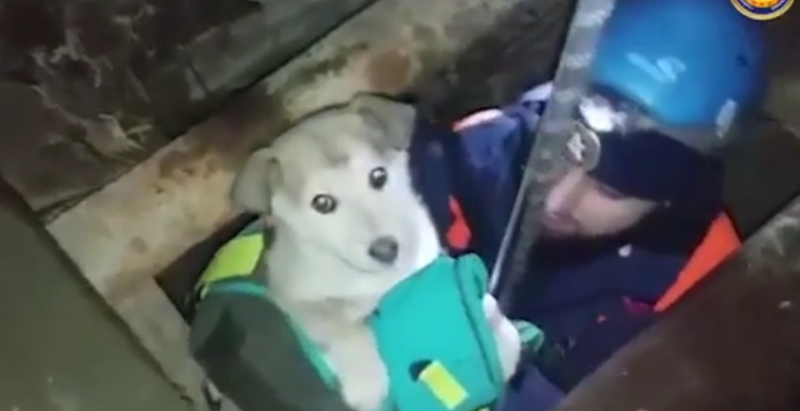 ЧЕЧНЯ. Чеченские спасатели вытащили из 12-метрового колодца местного жителя и его щенка