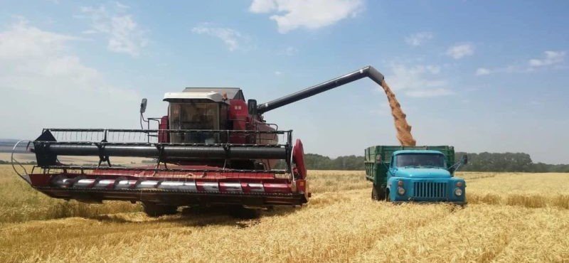 ЧЕЧНЯ. Валовый сбор зерна в Чеченской Республике в 2020 году превысил прошлые показатели в 2,8 раза