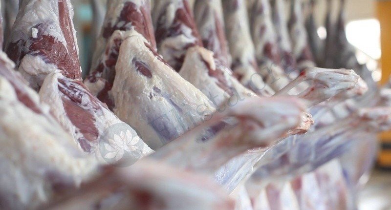 КАЛМЫКИЯ. 500 тонн мяса отправилось из Калмыкии в Иран в 2020 году