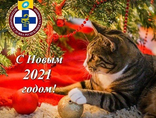 КАЛМЫКИЯ. Поздравление с Новым 2021 годом!
