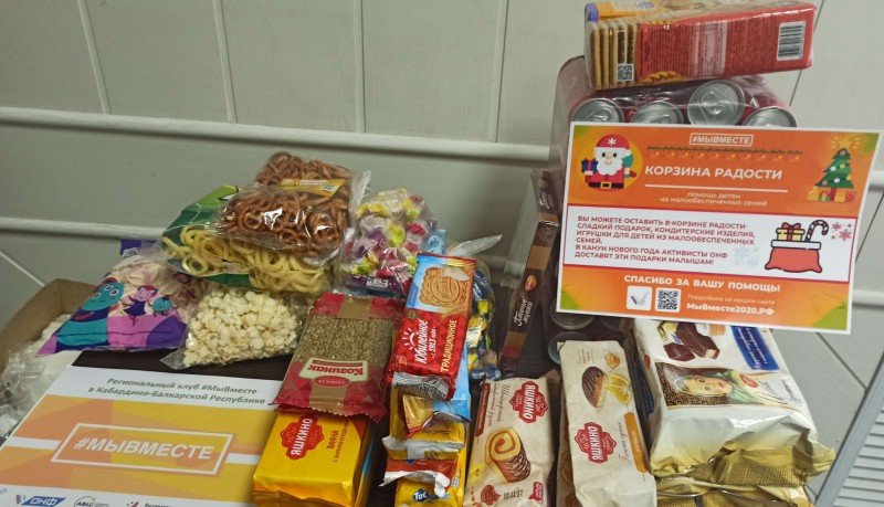 КБР. Участники #МыВместе в Кабардино-Балкарии передали новогодние подарки из «корзин радости» в семьи с детьми-инвалидами