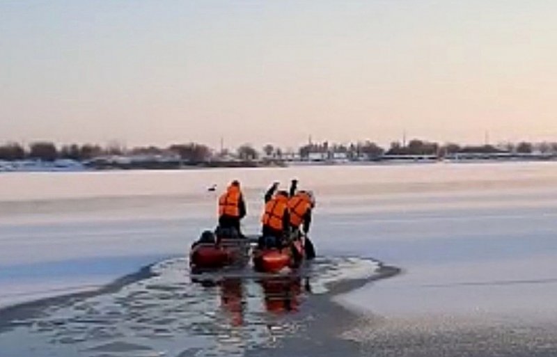 КРАСНОДАР. Кубанские спасатели освободили двух лебедей из ледяного плена