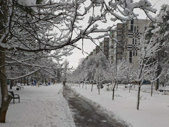 КРАСНОДАР. Ураганный ветер и снегопады обрушатся на Кубань