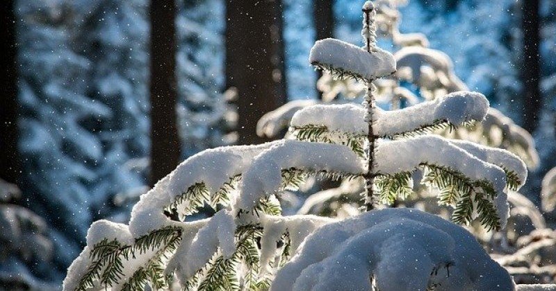 КРЫМ. Снег не смог пополнить запасы водохранилищ Крыма