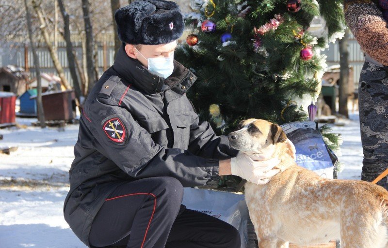 СТАВРОПОЛЬЕ. Сотрудники полиции посетили приют безнадзорных животных в Ставрополе