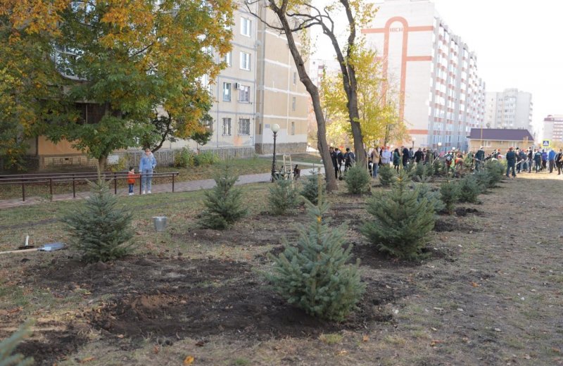 СТАВРОПОЛЬЕ. В Ставрополе высадили около 13,5 тысяч деревьев в 2020 году