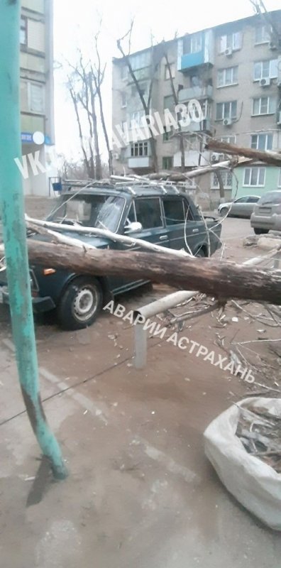 АСТРАХАНЬ. В Астрахани ураганный ветер валит деревья