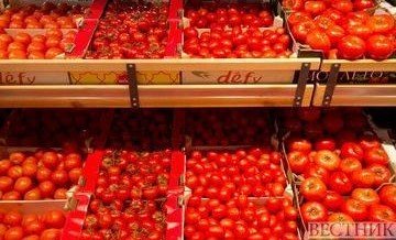 АЗЕРБАЙДЖАН. Еще 12 предприятиям Азербайджана разрешены поставки помидоров в Россию