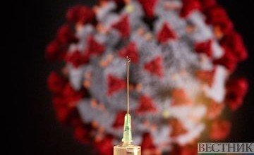 АЗЕРБАЙДЖАН. Еще 361 человек вылечился от коронавируса в Азербайджане