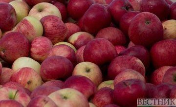 АЗЕРБАЙДЖАН. Сотни тонн азербайджанских яблок "застряли" на границе с РФ из-за запрета Россельхознадзора