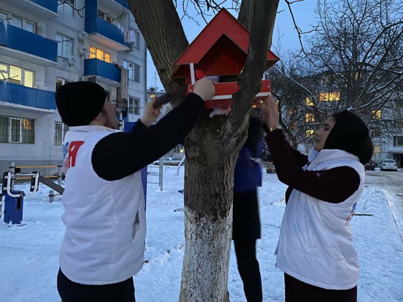 ЧЕЧНЯ. Чеченские активисты «Молодой Гвардии Единой России» установили кормушки для птиц