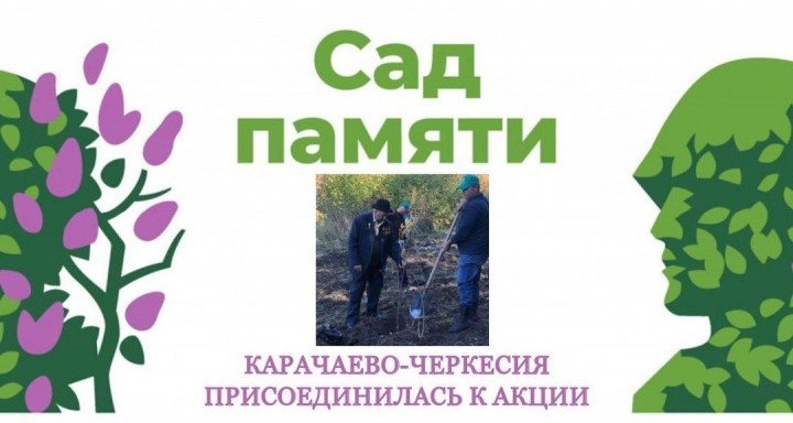 КЧР. Карачаево-Черкесия в очередной раз присоединится к международной акции «Сад памяти»⁣⁣⠀