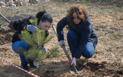 РОСТОВ. Ростовская область присоединится к акции «Сад Памяти»