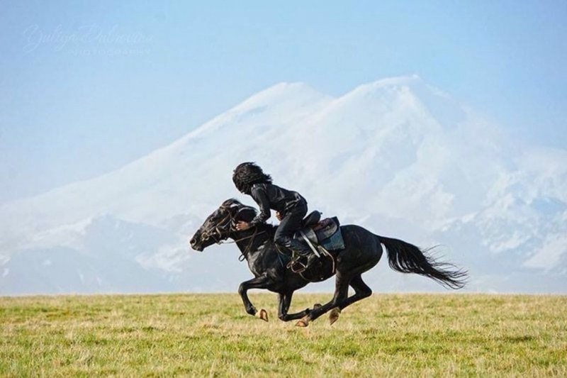 ЧЕЧНЯ. Конные скачки в чеченском обществе