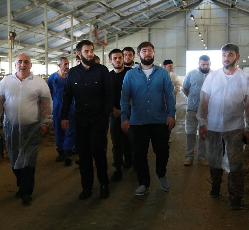 ЧЕЧНЯ. Ибрагим Закриев посетил с инспекцией животноводческий комплекс в Гудермесском районе