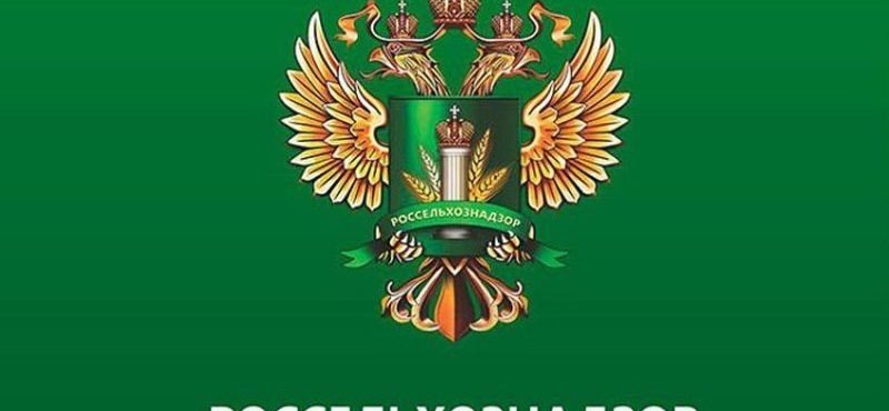 ЧЕЧНЯ. Итоги взаимодействия с управлениями Федеральной службы судебных приставов за 1 квартал 2021 года
