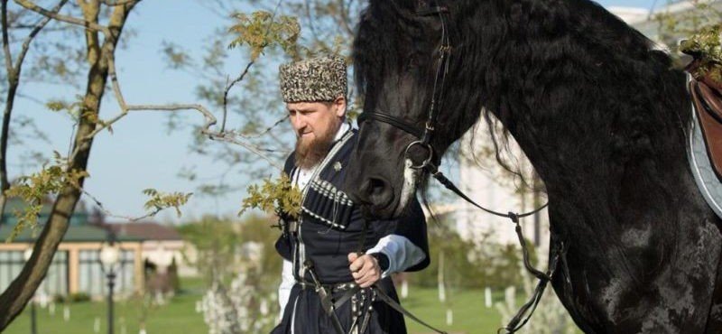 ЧЕЧНЯ. Рамзан Кадыров: Специалисты планируют вывести в регионе чеченскую скаковую породу лошадей