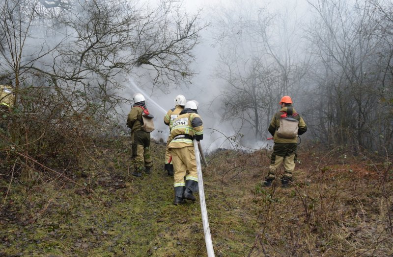 ЧЕЧНЯ. В Чеченской Республике прошли учения по ликвидации лесного пожара (ВИДЕО)