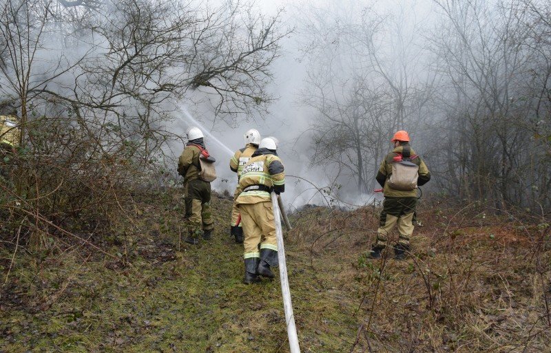 ЧЕЧНЯ. В Чеченской Республике прошли учения по ликвидации лесного пожара (ВИДЕО)