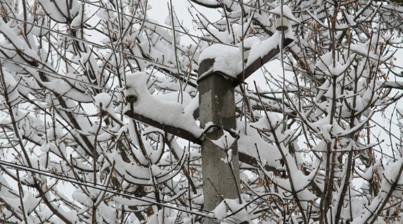 ЧЕЧНЯ. В ЧР прогнозируется отключение электроэнергии из-за мокрого снега