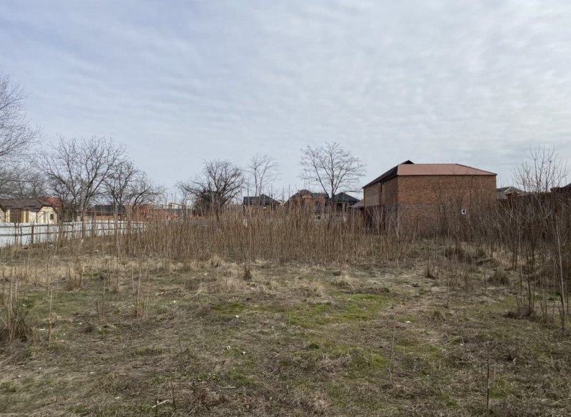 ЧЕЧНЯ. В Грозном проходит работа по выявлению заброшенных земельных участков