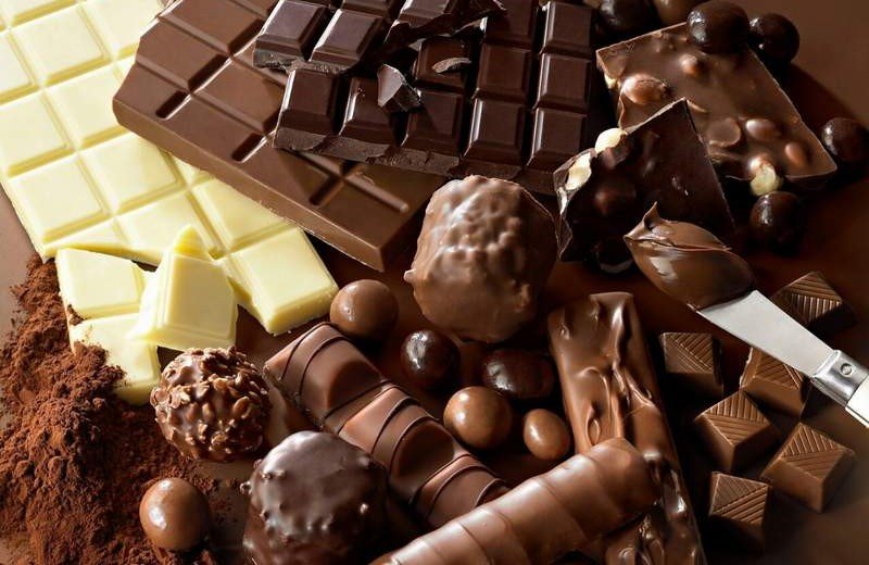ЧЕЧНЯ. В Ножай-Юртовском районе планируют построить предприятие по производству шоколада