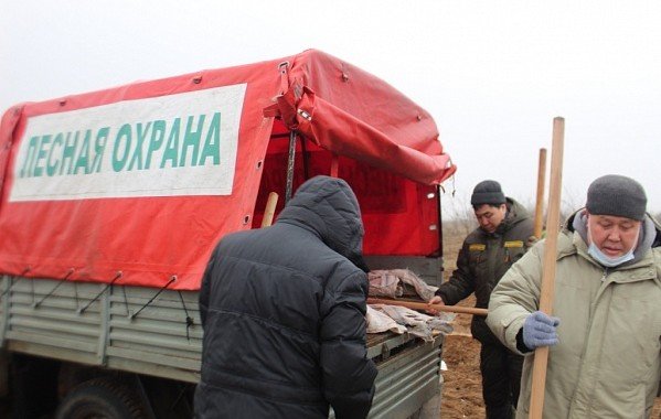 КАЛМЫКИЯ. В Калмыкии стартовала международная акция «Сад Памяти»