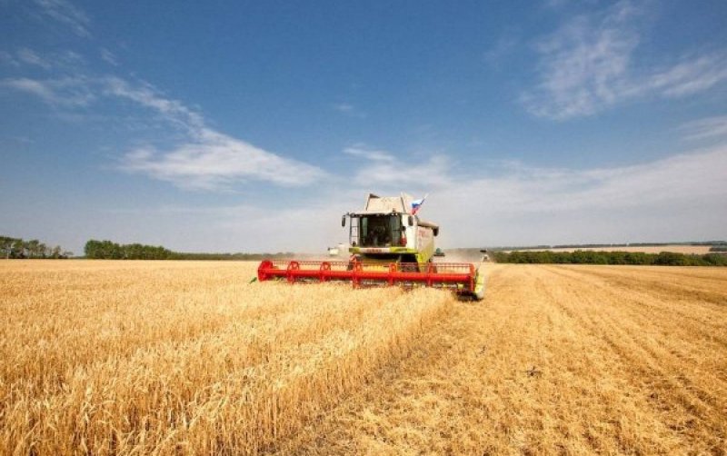 КБР. В Кабардино-Балкарии увеличился объем продукции сельского хозяйства