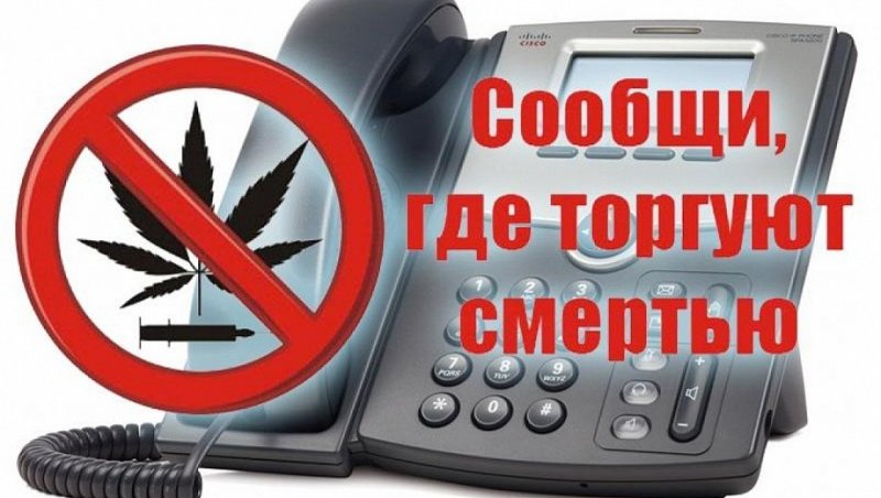 КРАСНОДАР. «Сообщи где торгуют смертью!»