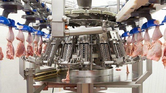 СТАВРОПОЛЬЕ. На Ставрополье построят птицеперерабатывающий завод стоимостью в 250 миллионов рублей