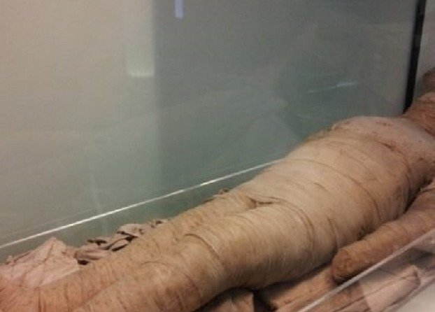 Учёные обнаружили древнейшую инструкцию по мумификации